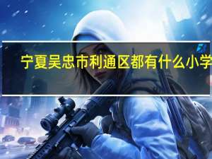 宁夏吴忠市利通区都有什么小学啊，要全部小学名称