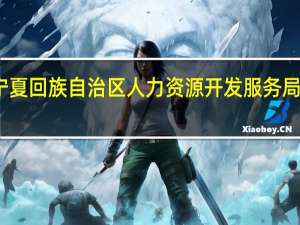 宁夏回族自治区人力资源开发服务局怎么样？