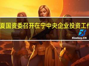 宁夏国资委召开在宁中央企业投资工作座谈会
