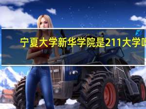 宁夏大学新华学院是211大学吗