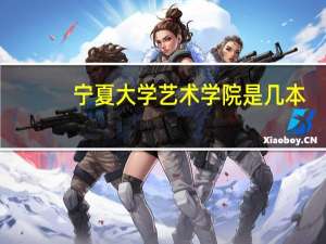 宁夏大学艺术学院是几本