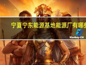 宁夏宁东能源基地能源厂有哪些