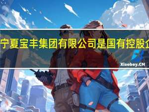 宁夏宝丰集团有限公司是国有控股企业吗