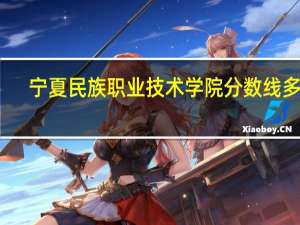 宁夏民族职业技术学院分数线多少