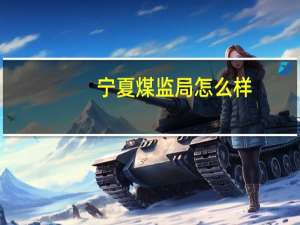 宁夏煤监局怎么样
