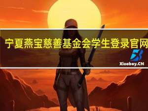 宁夏燕宝慈善基金会学生登录官网网址
