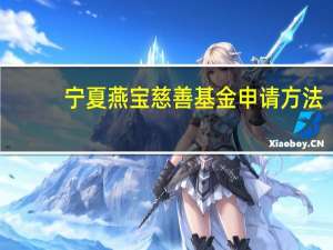 宁夏燕宝慈善基金申请方法（宁夏燕宝慈善基金会官网申请表）