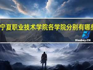 宁夏职业技术学院各学院分别有哪些专业