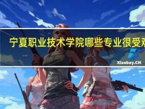 宁夏职业技术学院哪些专业很受欢迎