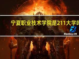 宁夏职业技术学院是211大学吗