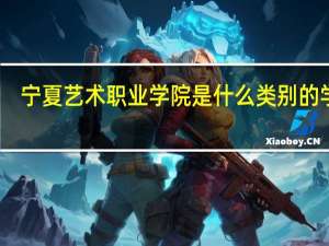 宁夏艺术职业学院是什么类别的学校
