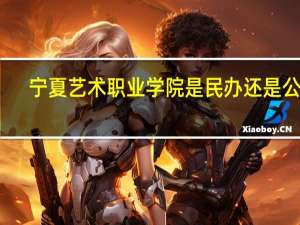 宁夏艺术职业学院是民办还是公办