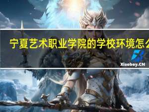 宁夏艺术职业学院的学校环境怎么样