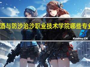 宁夏葡萄酒与防沙治沙职业技术学院哪些专业教学水平较高