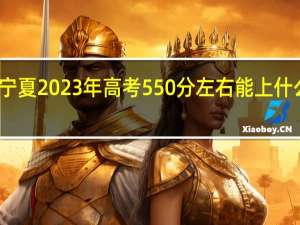 宁夏2023年高考550分左右能上什么大学