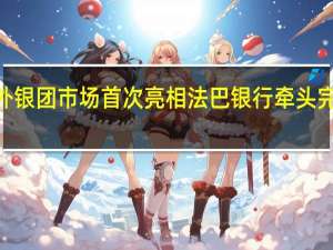 宁德时代在境外银团市场首次亮相法巴银行牵头完成6亿美元银团贷款