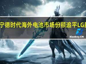 宁德时代海外电池市场份额追平LG新能源