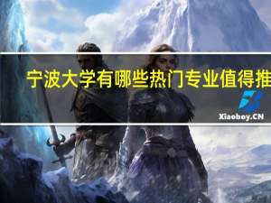 宁波大学有哪些热门专业值得推荐