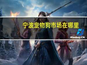 宁波宠物狗市场在哪里