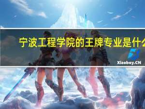 宁波工程学院的王牌专业是什么