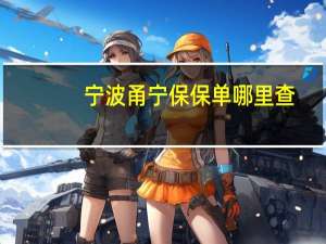 宁波甬宁保保单哪里查