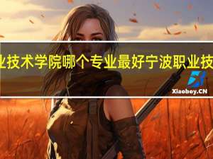 宁波职业技术学院哪个专业最好 宁波职业技术学院怎么样