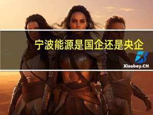 宁波能源是国企还是央企