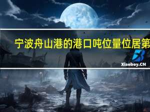 宁波舟山港的港口吨位量位居第一