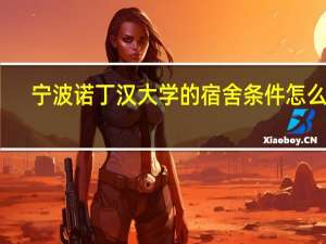 宁波诺丁汉大学的宿舍条件怎么样