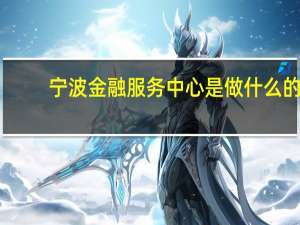 宁波金融服务中心是做什么的