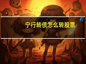 宁行转债怎么转股票