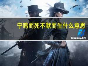宁鸣而死不默而生什么意思