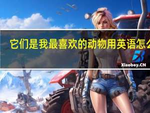 它们是我最喜欢的动物用英语怎么写