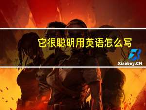 它很聪明用英语怎么写