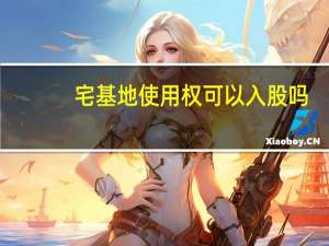 宅基地使用权可以入股吗