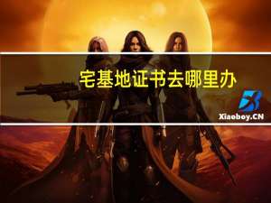 宅基地证书去哪里办