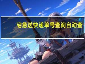 宅急送快递单号查询自动查（宅急送快递单号查询号码查询）