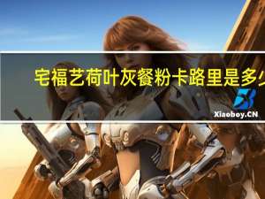 宅福艺 荷叶灰餐粉卡路里是多少