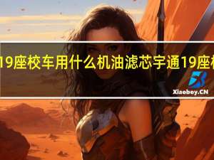 宇通19座校车用什么机油滤芯 宇通19座校车价格表