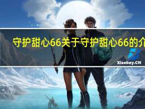 守护甜心66 关于守护甜心66的介绍