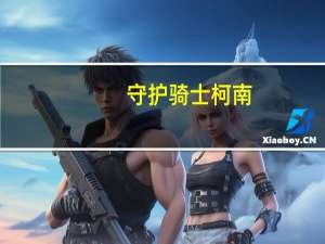 守护骑士柯南（柯南之惩戒骑士）