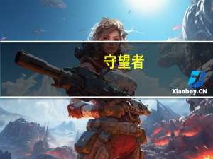 守望者（swz）
