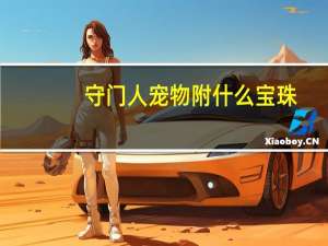 守门人宠物附什么宝珠