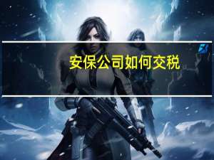 安保公司如何交税