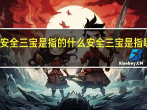 安全三宝是指的什么 安全三宝是指哪三宝