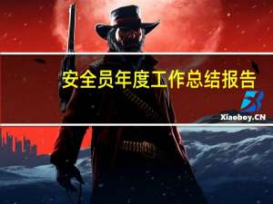 安全员年度工作总结报告（安全员年度工作总结）