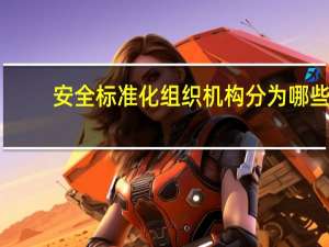 安全标准化组织机构分为哪些