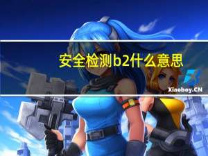 安全检测b2什么意思