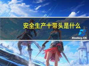安全生产十带头是什么