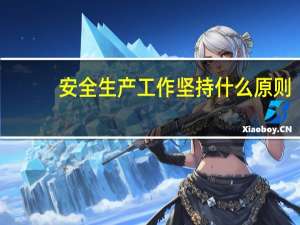 安全生产工作坚持什么原则（安全生产工作坚持什么的领导）